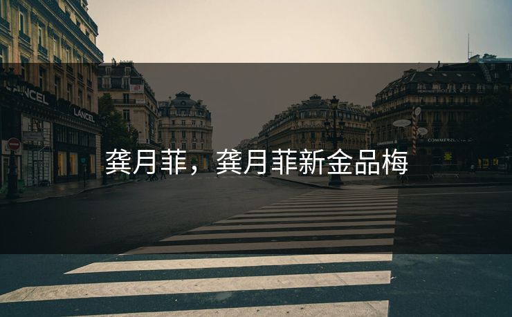 龚月菲，龚月菲新金品梅