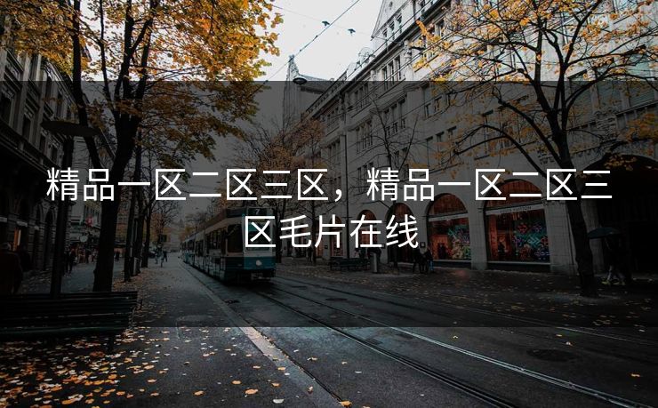 精品一区二区三区，精品一区二区三区毛片在线