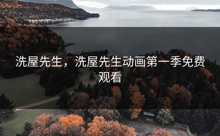洗屋先生，洗屋先生动画第一季免费观看