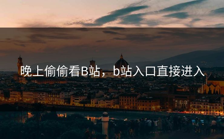 晚上偷偷看B站，b站入口直接进入