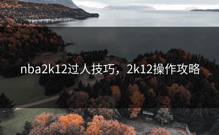 nba2k12过人技巧，2k12操作攻略
