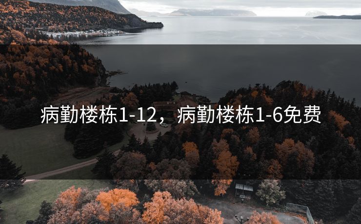 病勤楼栋1-12，病勤楼栋1-6免费