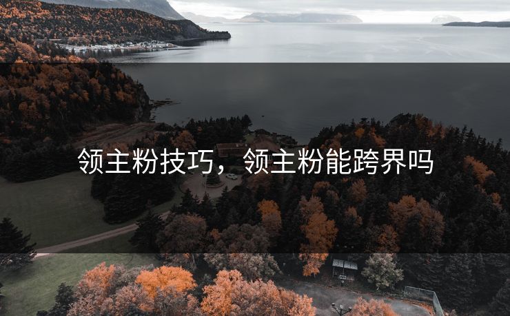 领主粉技巧，领主粉能跨界吗