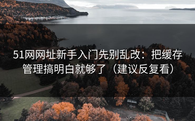 51网网址新手入门先别乱改：把缓存管理搞明白就够了（建议反复看）
