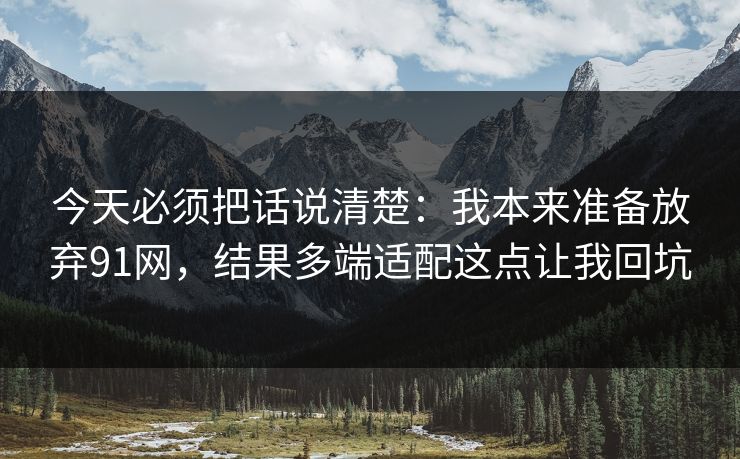 今天必须把话说清楚:我本来准备放弃91网,结果多端适配这点让我回坑