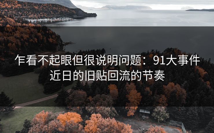 乍看不起眼但很说明问题:91大事件近日的旧贴回流的节奏